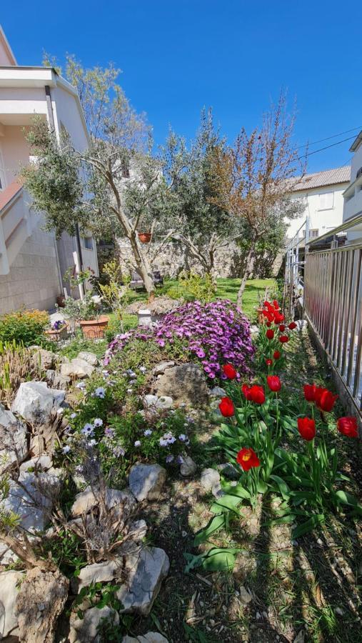 Apartmani Dami Novalja Exterior foto